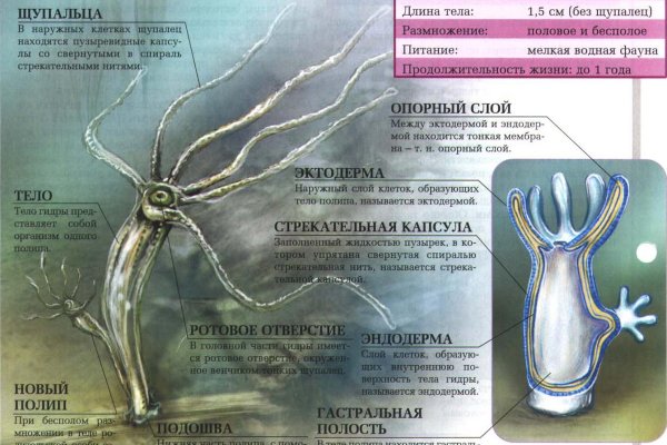 Кракен даркнет стор