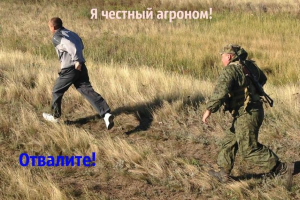 Как зайти на кракен тор