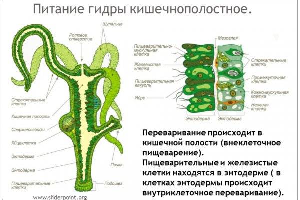2krn cc кракен